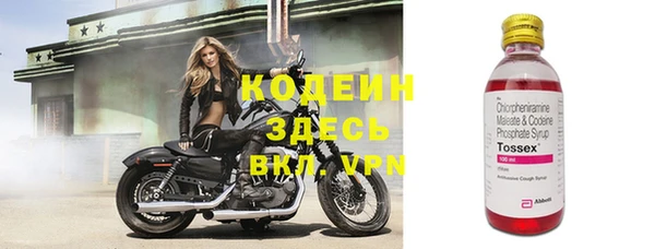 ECSTASY Алзамай