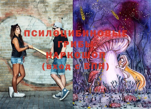 амфетамин Алексин